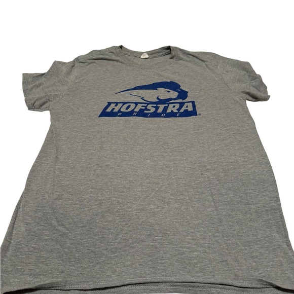 Gildan Softstyle Hofstra Tee. Grey. Size M. Used. - Picture 1 of 4